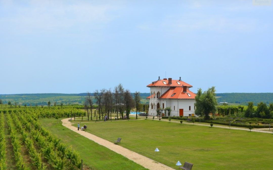 Wine Regions of the World – Romania
