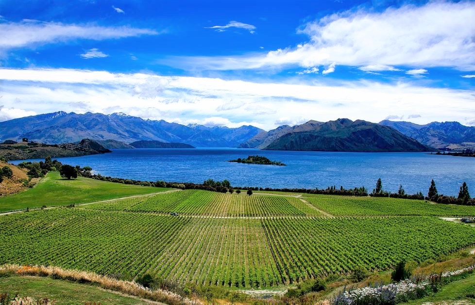 Wine Regions of the World – New Zealand